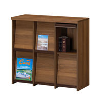 白井産業 セパルテック 重厚感のある本棚 フラップ扉 飾り棚 A4対応