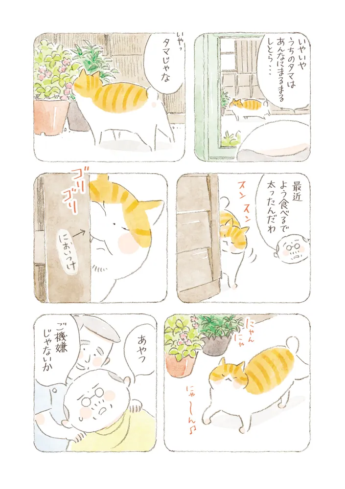ねことじいちゃん（11）」ねこまき(ミューズワーク) [コミック