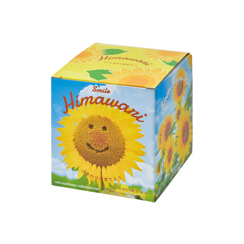 聖新陶芸 ひまわり栽培セット GD1033｜【ハンズネットストア】