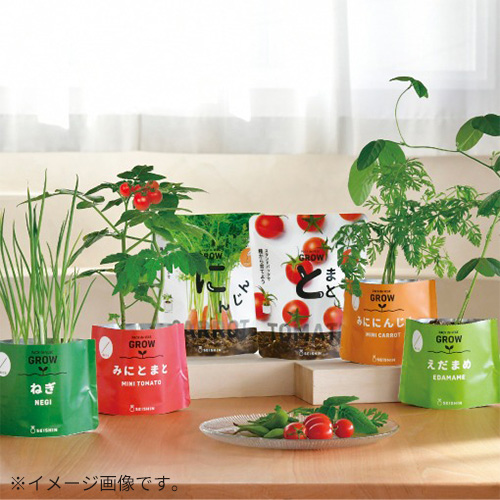 聖新陶芸 野菜栽培キット ベジパック GD1058-2 ミニキャロット