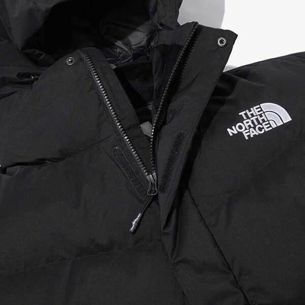 韓国限定レーベル] FREE MOVE DOWN JACKET_ノースフェイス