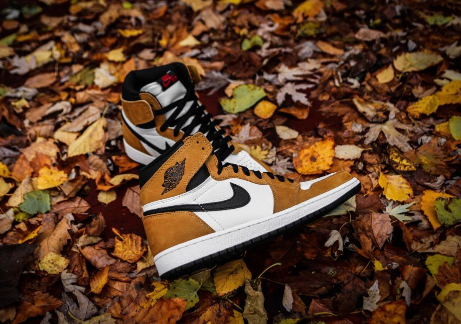 ナイキ エアジョーダン1 レトロ ハイ OG ルーキー オブ ザ イヤー【11