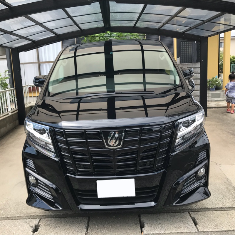 純正グリル塗装（トヨタ アルファード・30系）by かじぴ - みんカラ