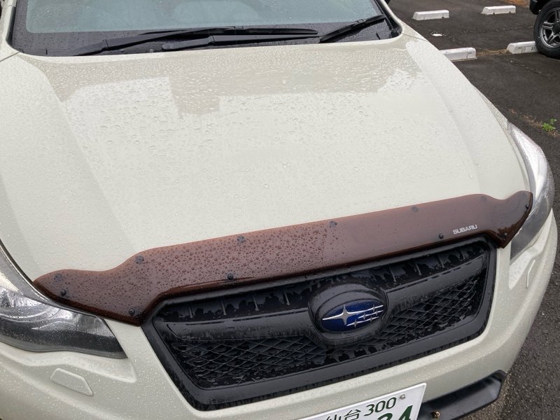 バグガード リフレッシュ作戦（スバル XV・GP）by 333@MATSU - みんカラ