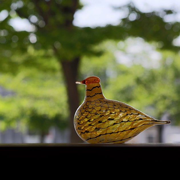 販売終了】Birds by Toikka | Summer Grouse | iittala