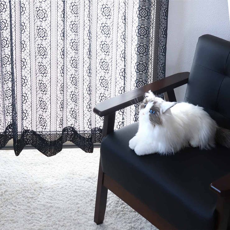 レースカーテン ブラックレース 100×88～148cm[品番：KRFH0043479