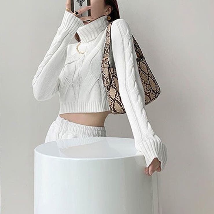 クロップド丈タートルネックニットトップス 秋 冬[品番：SHNW0008239