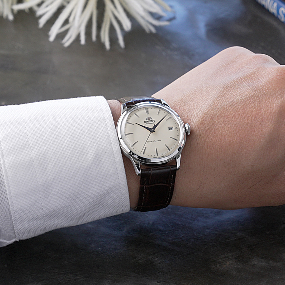 AC0M04Y_SQ_1200x.jpg?v=1764735278