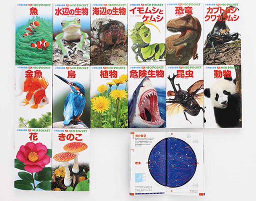 dショッピング |「小学館の図鑑NEOポケット(15冊セット)」 Book