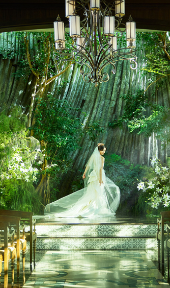 クラシカ表参道／別邸KEYAKIの写真・フォト・画像＆動画・ムービー