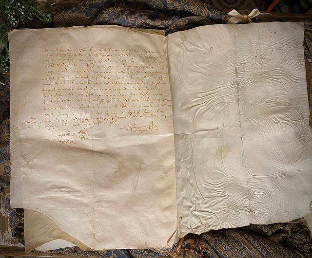 台湾 1614年 17世紀フランスのアンティーク羊皮紙巻物、フランス国王