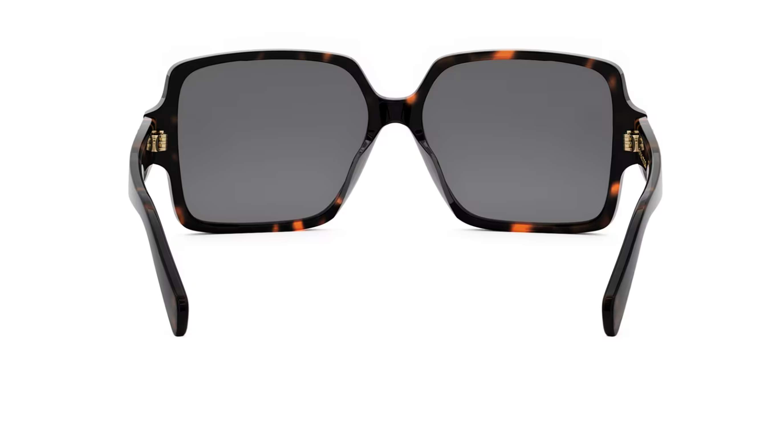 Sunglasses CELINE Triomphe CL40316U 52A 60-15 Tortoise in stock