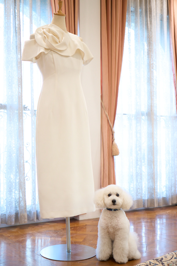 Yumi Katsura for CELFORD | セルフォード | CELFORD Official Brand Site