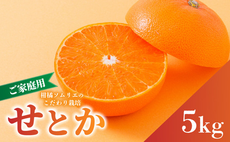 せとか】 B品 家庭用 5kg 【順次発送中】 | 愛媛産 愛媛県産 国産 愛媛