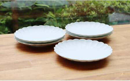 デザート皿にも！かわいい和食器】有田焼 菊割銘々皿 silk 5枚セット