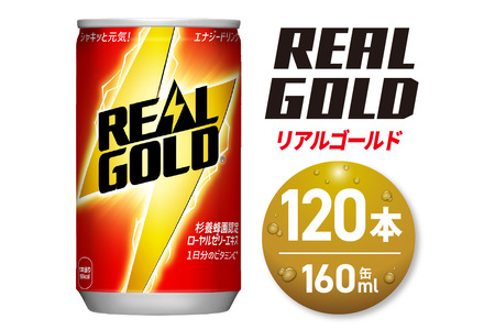 リアルゴールド 160ml缶×120本 【札幌市の魅力】 エナジードリンク