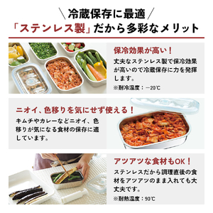 真空フレッシュボックス L ] 真空ポンプ付き ステンレス製 保存容器