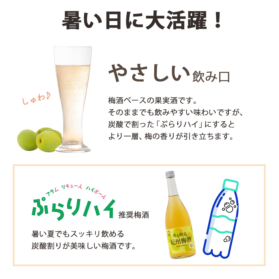 ぷらりハイセット 720ml×3本 | 長久庵オンラインショップ｜中野BC直営