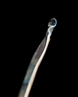 永島義教 zemmaiディナーフォーク