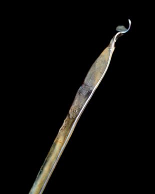 永島義教 zemmaiデザートフォーク