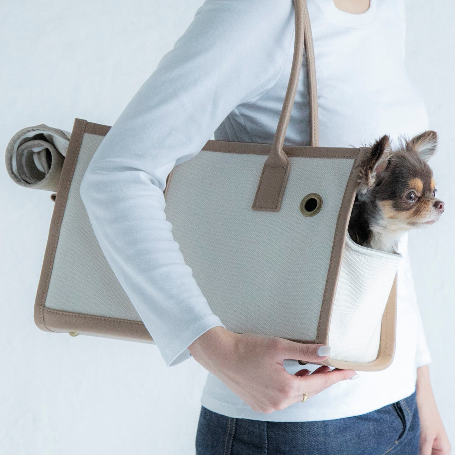 犬用キャリーケース キャリーバッグ CITYDOG(シティドッグ) PIPING