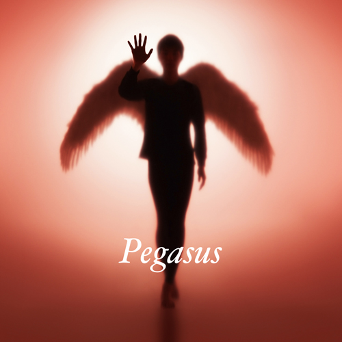 Pegasus [初回生産限定盤][CD MAXI] - 布袋寅泰 - UNIVERSAL MUSIC JAPAN