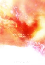 シューゲイザー・ディスク・ガイド revised edition 中古本・書籍