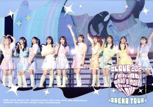 乃木坂46 生田絵梨花 卒業コンサート(完全生産限定版)(Blu-ray Disc