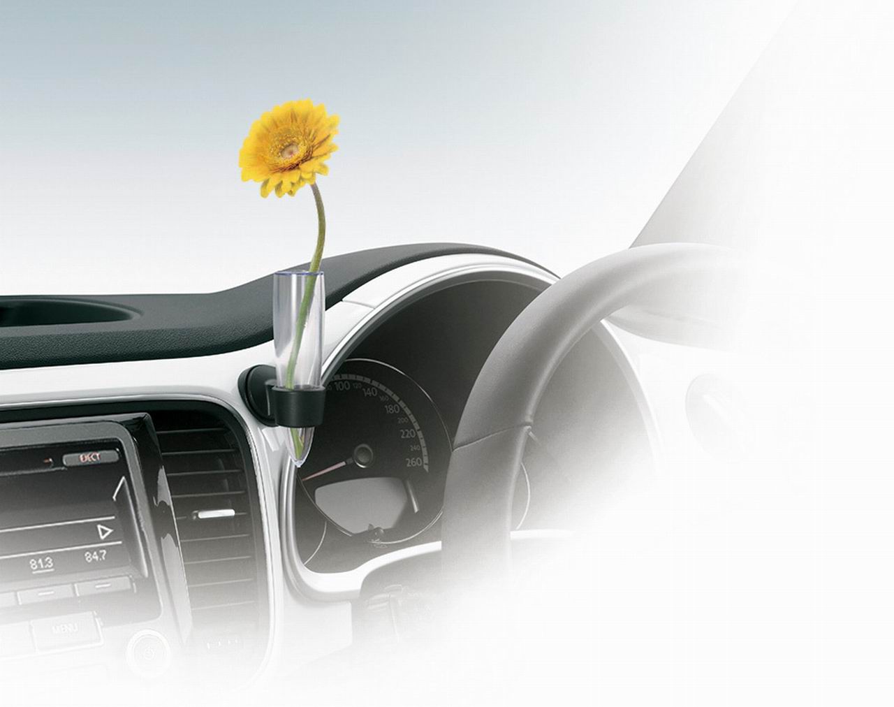 一輪挿しを標準装備、ザ・ビートルの特別限定車は価格285万円