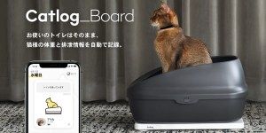 Catlog®（キャトログ）第2弾プロダクト『Catlog Board』を発表！いつも