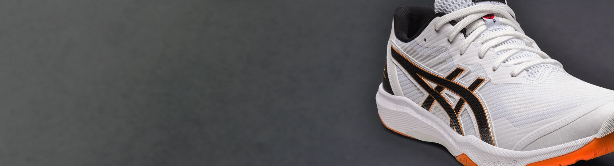 バレーボールシューズ ROTE JAPAN LYTE シリーズ（ローテジャパン