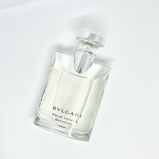 Bvlgari Pour Homme Edt 100ml Perfume (Men) | Ant Mascot