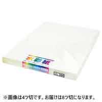 スマートスクール / 水彩画紙8ツ切100枚 No300エスケント