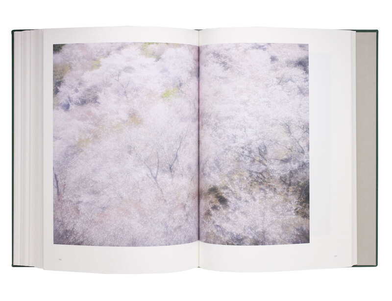 Lumière - Mikiya TAKIMOTO | shashasha - Photography & art in books