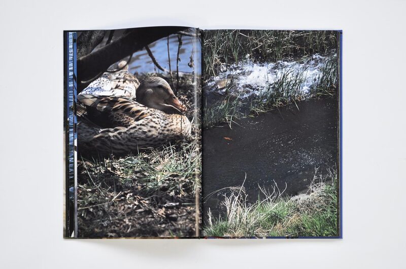 Documentary - 中平卓馬| moom bookshop - 藝術書籍與雜誌