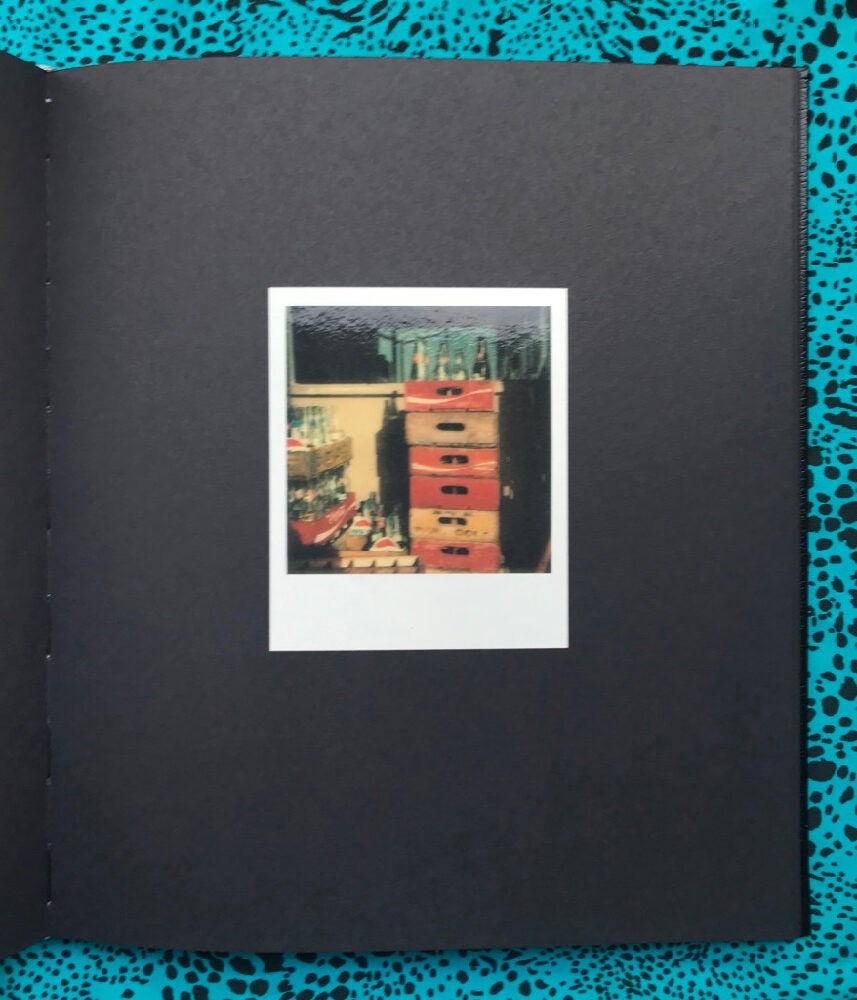 Polaroid SX-70 | William Eggleston | First Edition