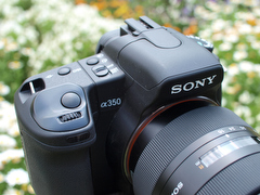 ソニーα350【第2回】猫写真と高倍率ズームレンズ