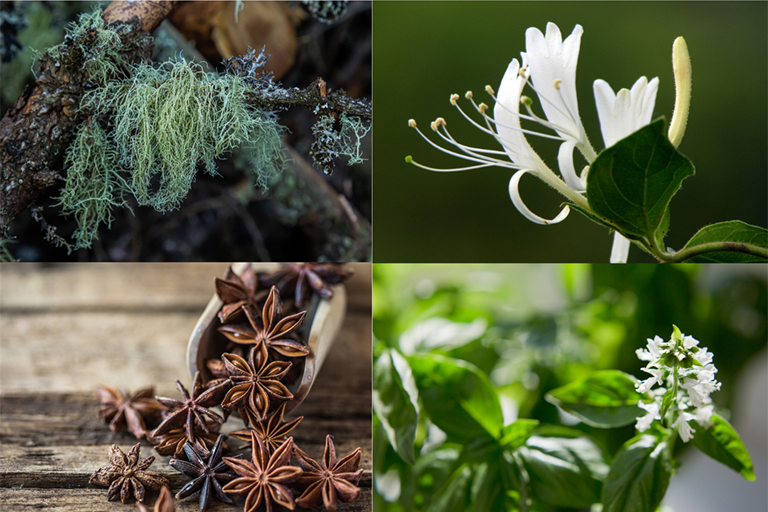 BIOGENICS LOTION - RENOVATIO 遺伝子は変わり、そして肌は変化する