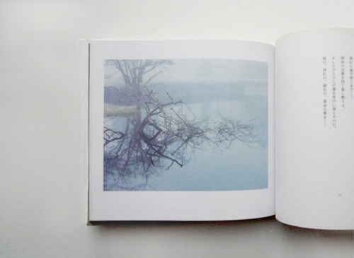 古書古本 dessin：アルセーニイ・タルコフスキー詩集 白い、白い日