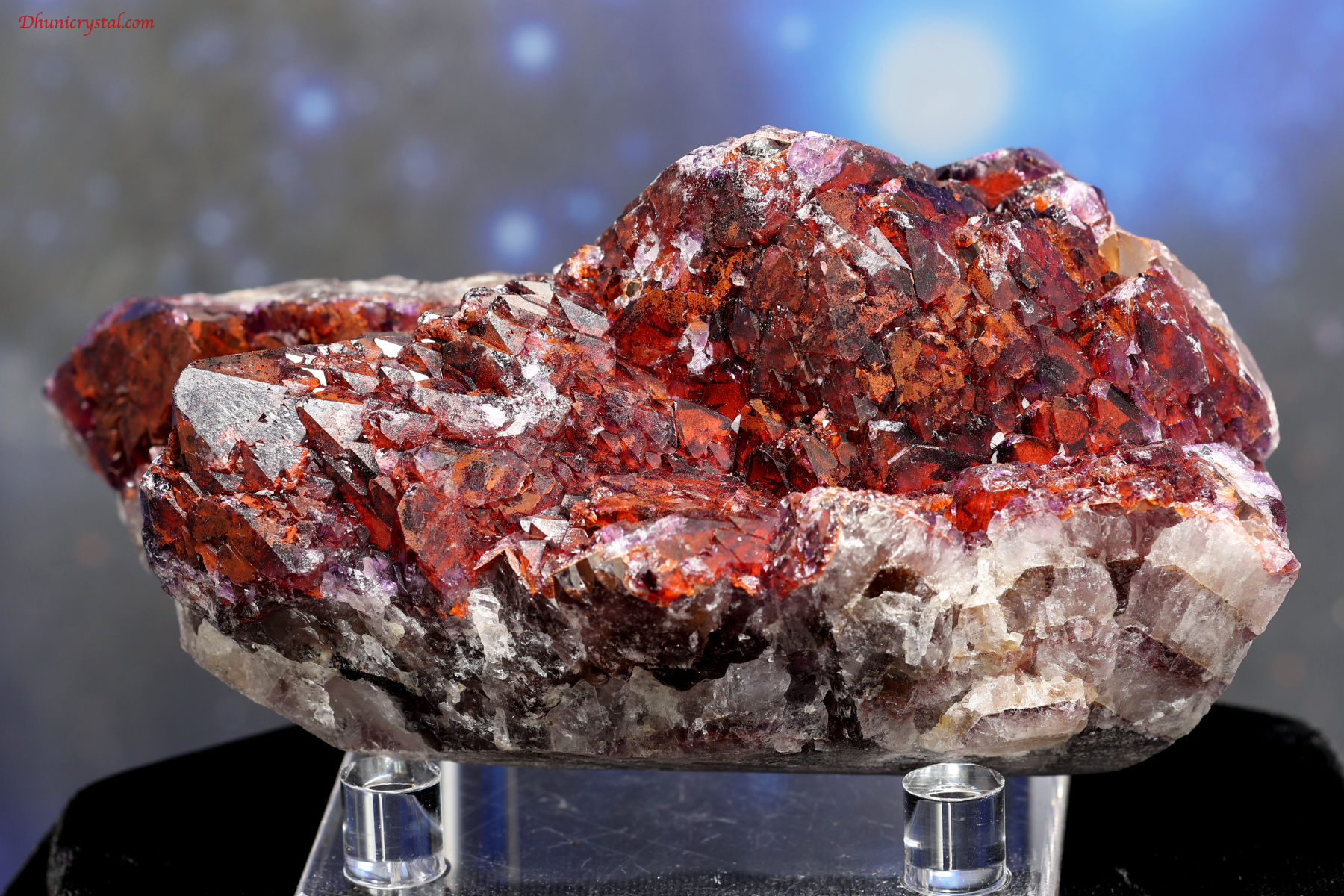 エイリアン・アメジスト(A646)