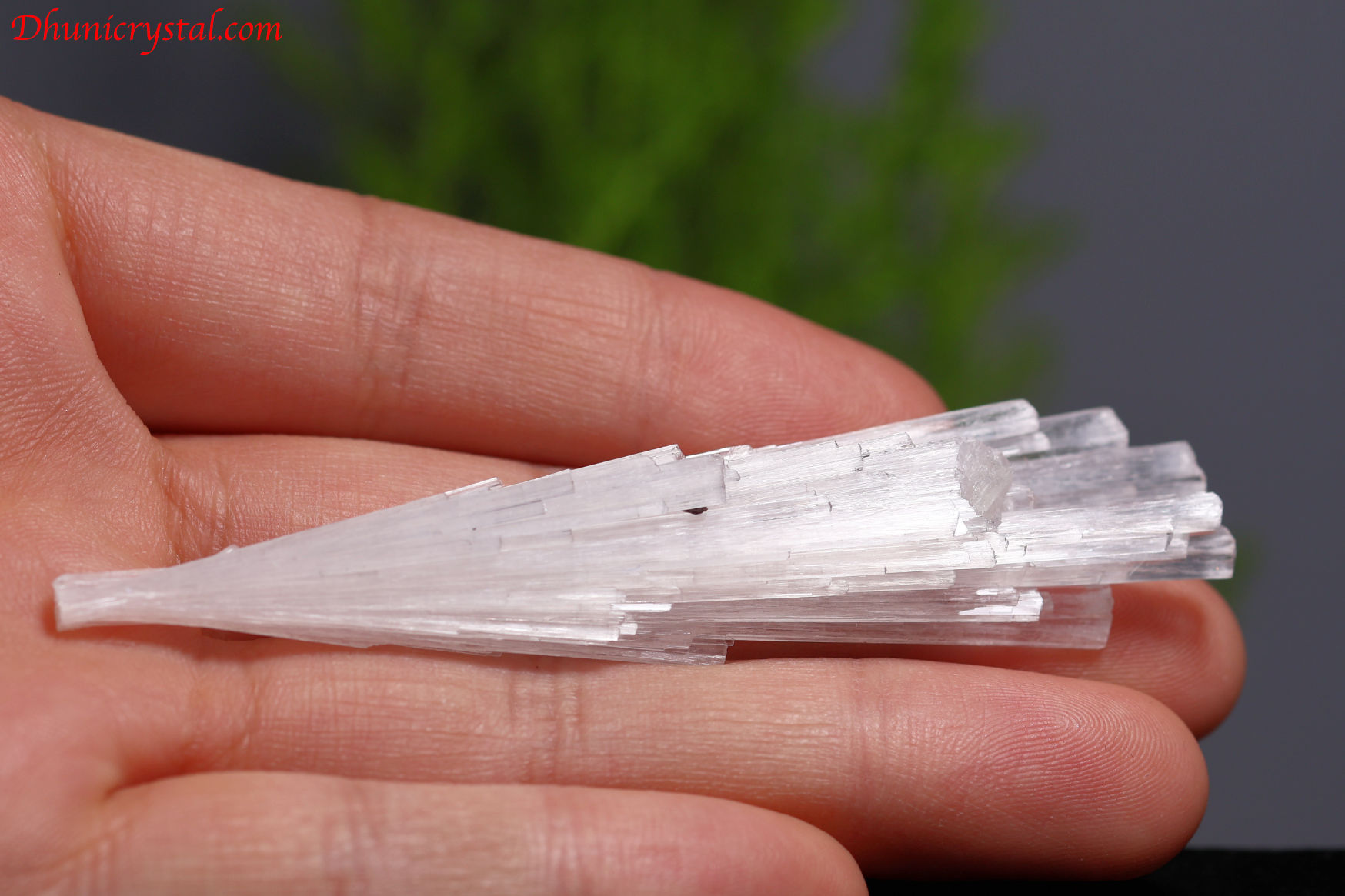 スコレサイト原石(W992)