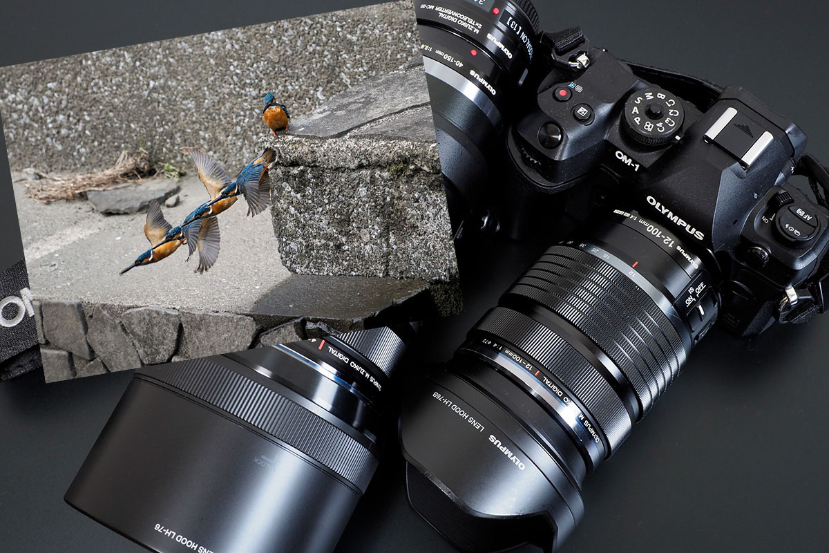 鳥認識の精度はどこまでアップした？小さなプロ機、OM SYSTEMの「OM-1