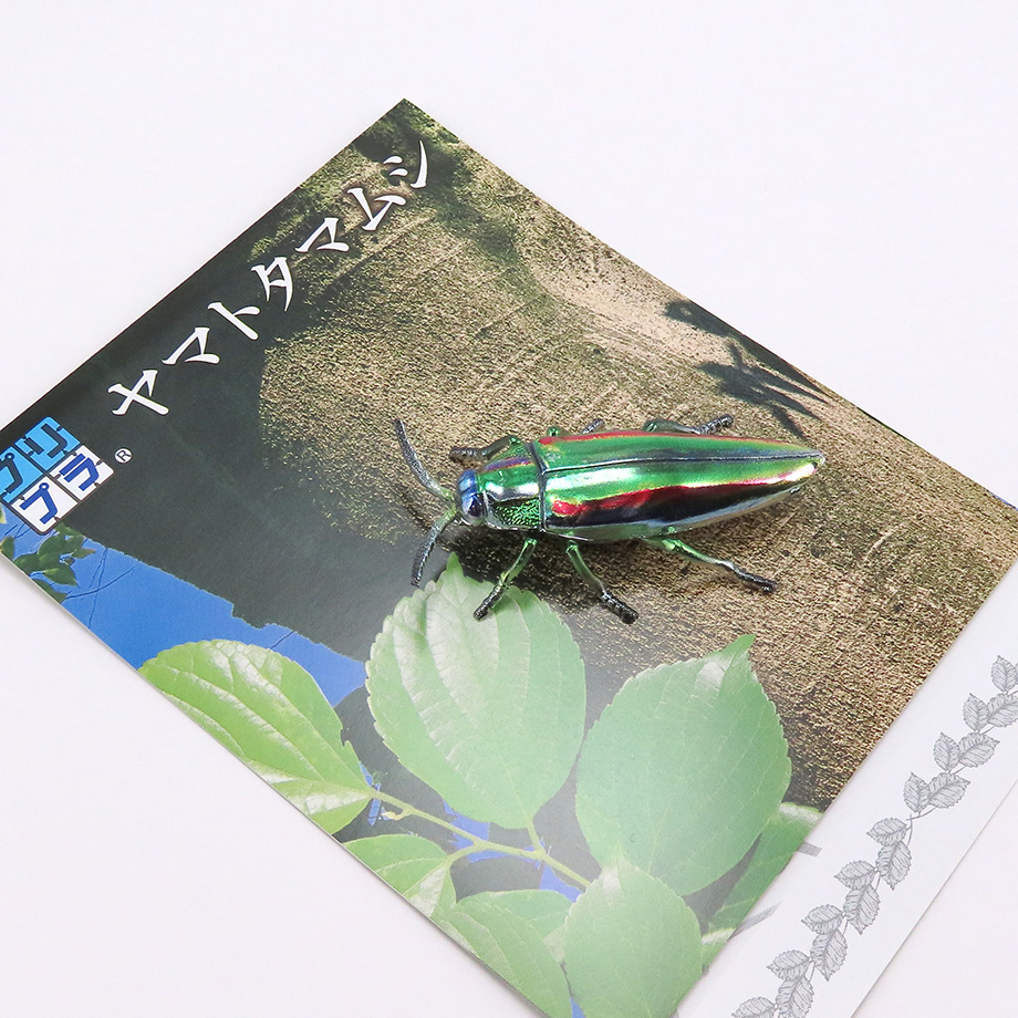 プリプラ ヤマトタマムシ – DIGISM-デジズム-