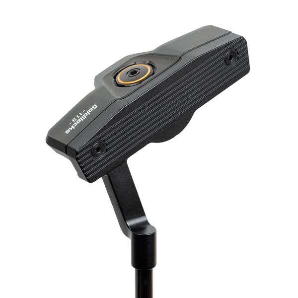 MODEL 113 – Goldilocks DirectStore