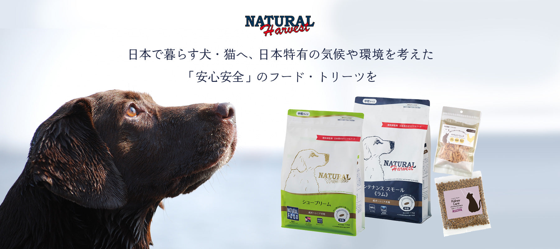 トイスマ本店 -toysma Main Shop- – netshop-toysma