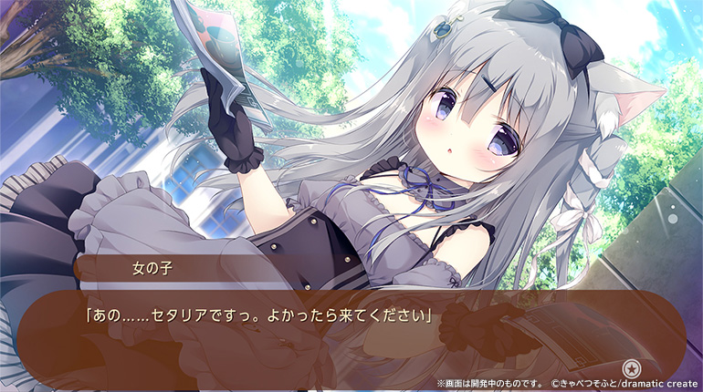 NintendoSwitch『あまいろショコラータ』