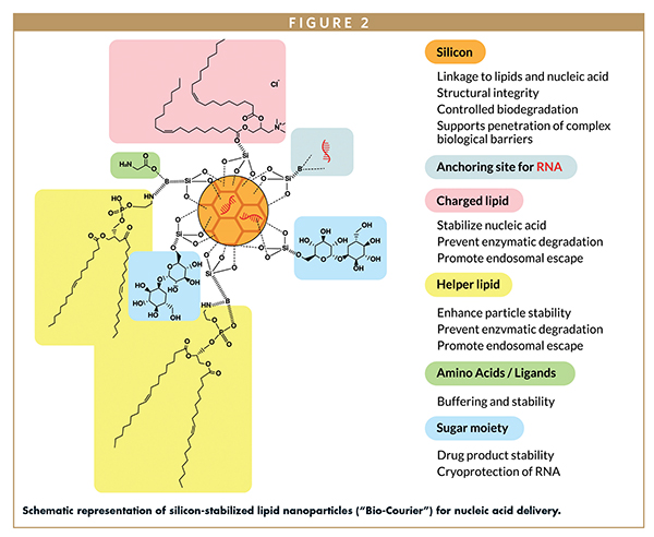 SILICON-STABILIZED HYBRID LNPS - Next-Generation Delivery of RNA
