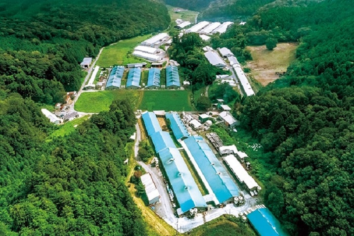 鹿野高原牧場セット【青藍】3種計650g(【青藍】3種計650g): せとうち