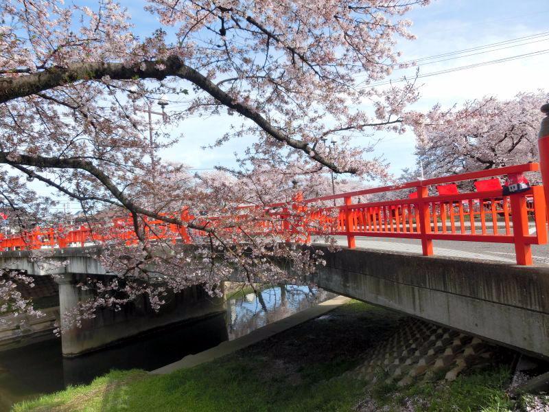 Shinsakai River Tsutsumi (2026) - All You MUST Know Before You Go