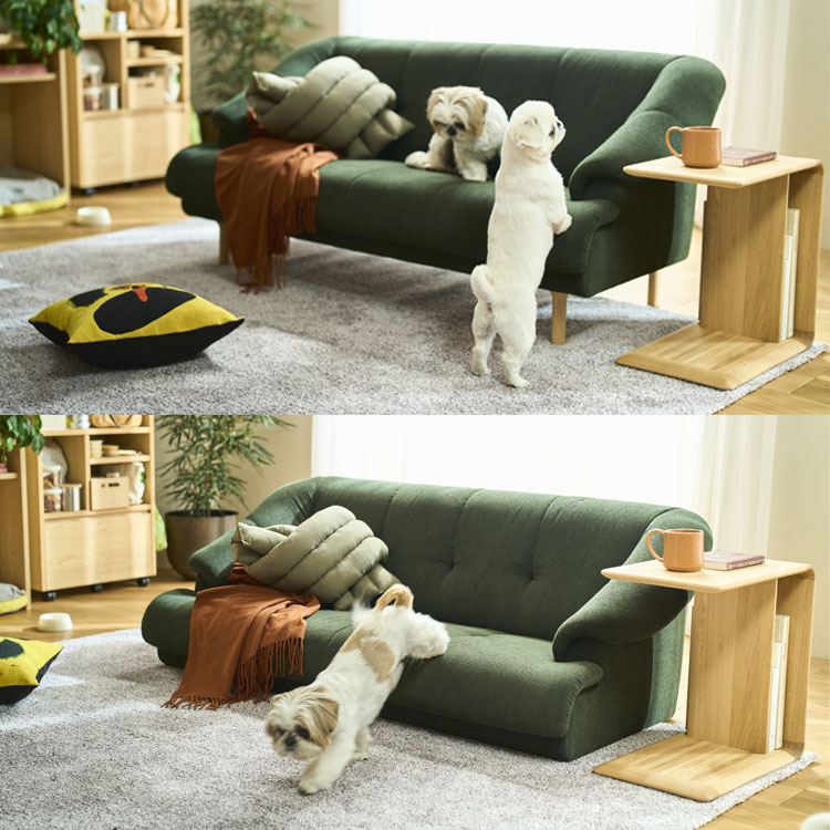 わんちゃん・ねこちゃんとの暮らし おすすめインテリア｜カリモク家具